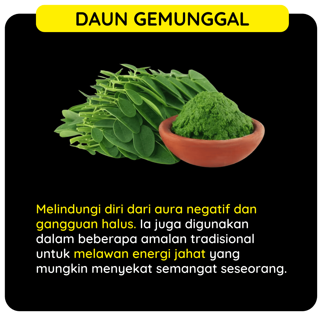 DAUN GEMUNGGAL DAUN GEMUNGGAL